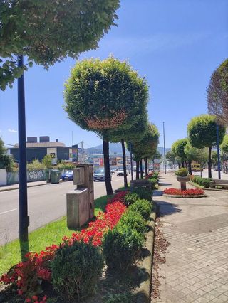 Solar en venta en Praza Independencia en Vigo