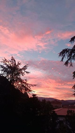 Piso en venta en Pravia