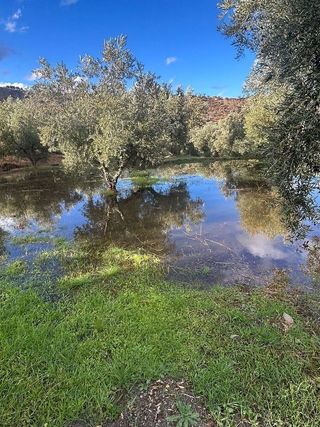 Terreno en venta en Abla