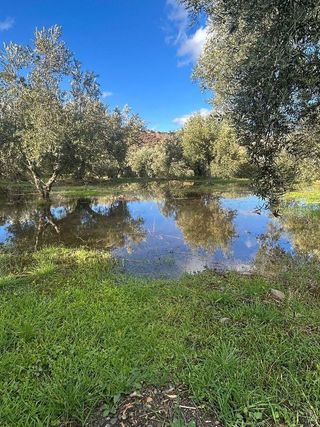 Terreno en venta en Abla