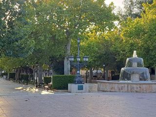 Terreno en venta en Utiel