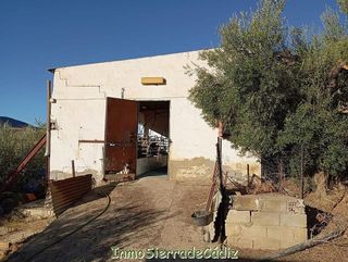 Terreno en venta en Olvera