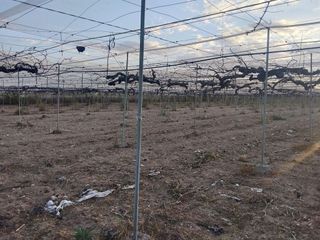 Terreno en venta en Utrera