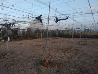 Terreno en venta en Utrera