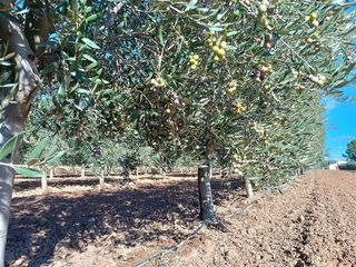 Chalet en venta en Yecla