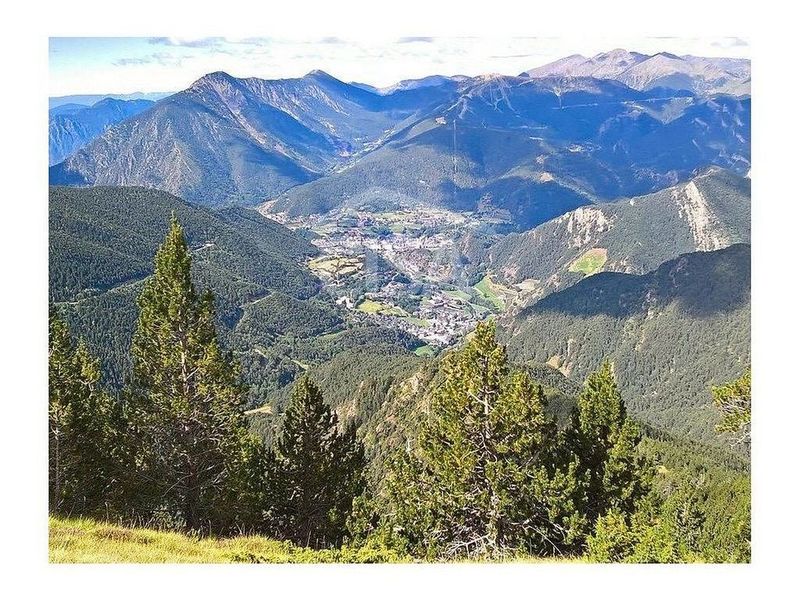 Commercial premises for sale in La Massana · 6 of 30
