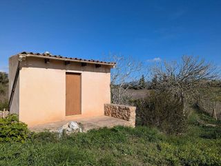 Solar en venta en Manacor Centro en Manacor