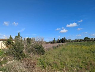 Solar en venta en Manacor Centro en Manacor