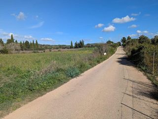 Solar en venta en Manacor Centro en Manacor
