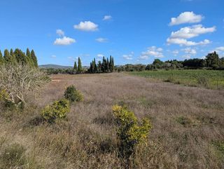 Solar en venta en Manacor Centro en Manacor