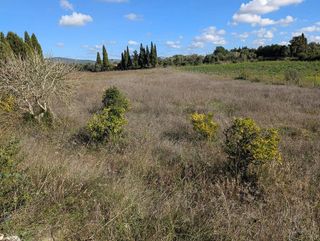 Solar en venta en Manacor Centro en Manacor