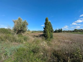 Solar en venta en Manacor Centro en Manacor