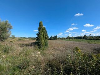 Solar en venta en Manacor Centro en Manacor
