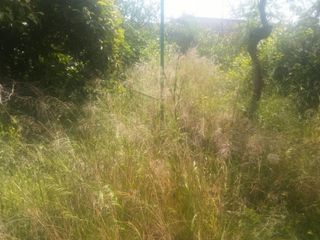 Terreno en venta en Moclín