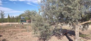 Chalet en venta en Centro - El Pilar en Ciudad Real