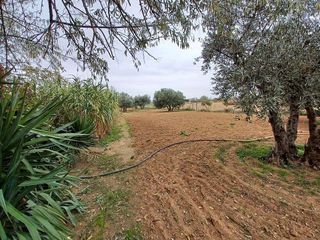 Casa rural en venta en Roda (La)