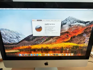 iMac 21,5 Intel Core i5 12GB RAM 2 discos duro