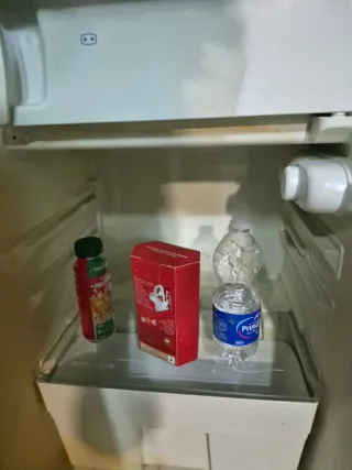 Nevera Congelador 100L