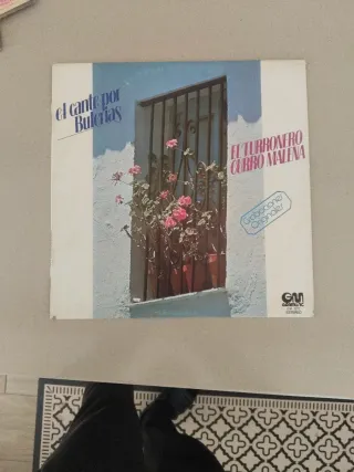 Vinilos varios