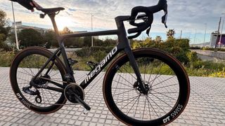 Megamo Pulse Elite Talla L 23-24