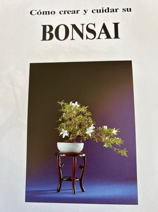 Libro BONSÁI