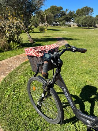 Bicicleta eléctrica Megamo Regalo alforjas