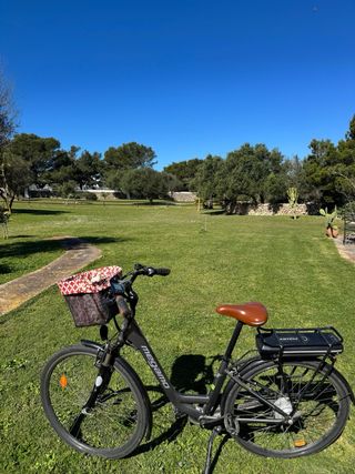Bicicleta eléctrica Megamo Regalo alforjas