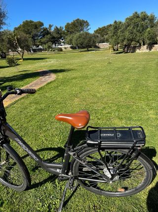 Bicicleta eléctrica Megamo Regalo alforjas