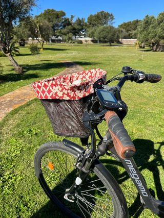 Bicicleta eléctrica Megamo Regalo alforjas