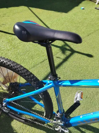 Bicicleta Montaña Azul Rodado 29 ¡COMO NUEVA!