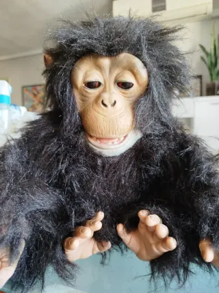 Orsacchiotto con biberon in peluche, altezza 30 cm