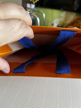 Sacchetto Louis Vuitton Marrone Originale