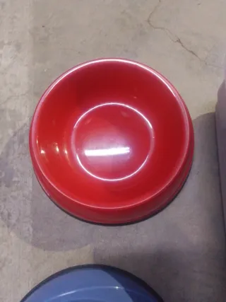 Caja arena para gatos con pala y cuencos