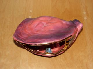 Tulipa marina para lámpara almeja Vallauris 60 ́s