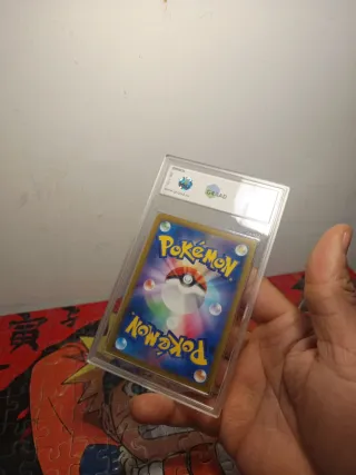 Pokémon Ice Rider Calyrex VMAX 9.5