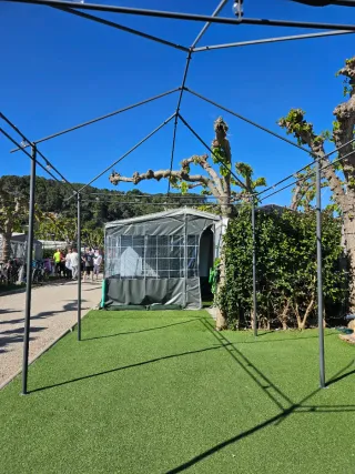 Sobre Avance, cocina y carpa.