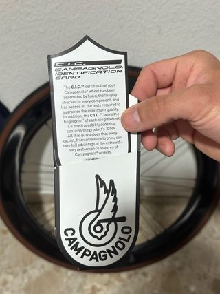 Campagnolo Bora WTO 60 Ruedas