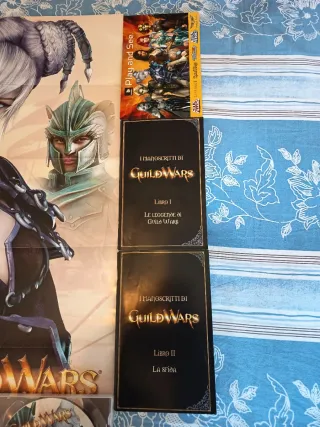 Guild Wars Collector Completo PC