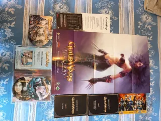 Guild Wars Collector Completo PC