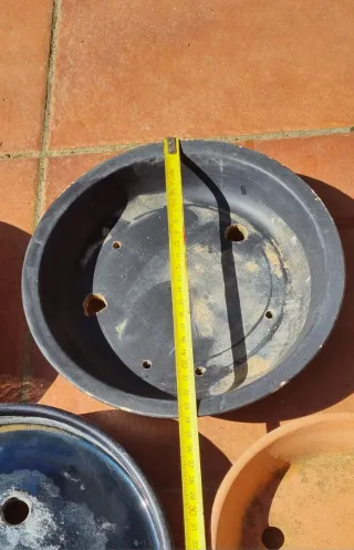 4 tiestos para bonsái.