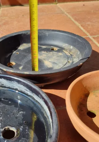4 tiestos para bonsái.