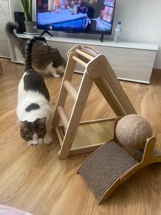 Grattatoio per gatti in legno e iuta