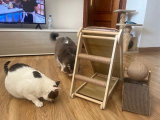 Grattatoio per gatti in legno e iuta