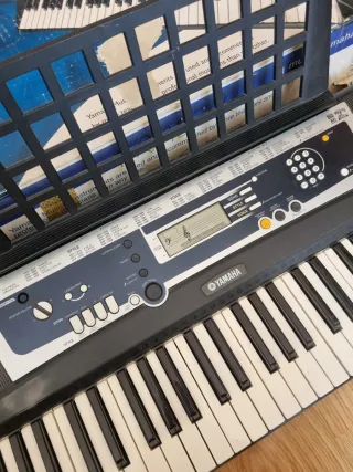 Teclado Yamaha YPT-210