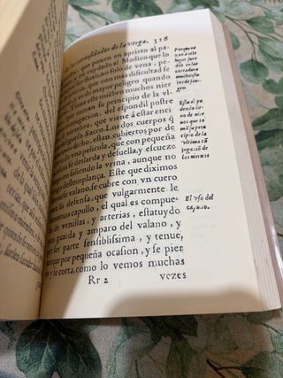 Libro Tratado nuevamente enfermedades de riñones