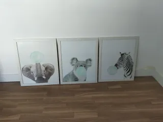 3 Cuadros Decorativos Animales