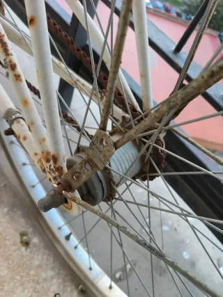 Bicicleta Vintage GEACE'S