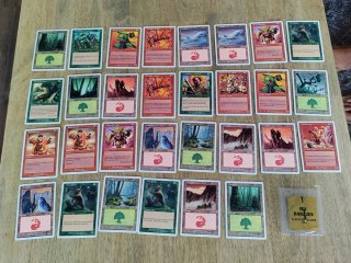 Magic El Encuentro Principiantes CD-ROM