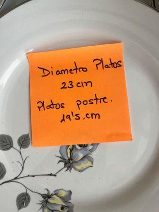 Vajilla Vintage Porzellan Limoges Flores