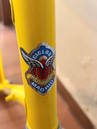 Cuadro Macario Talla 55 Amarillo